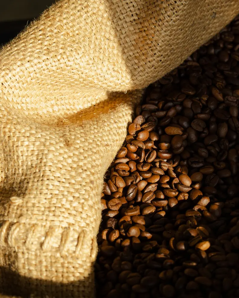 Café de los Andes venezolanos vendido por tienda virtual
