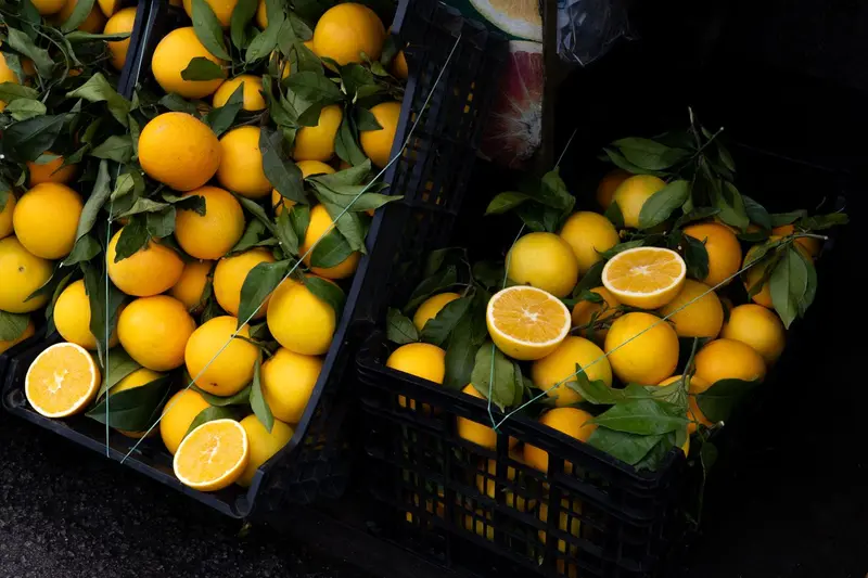 Limones de San Felipe a la venta en una tienda online yaracuyana