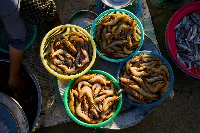 Camarones y mariscos de Sucre vendidos por internet
