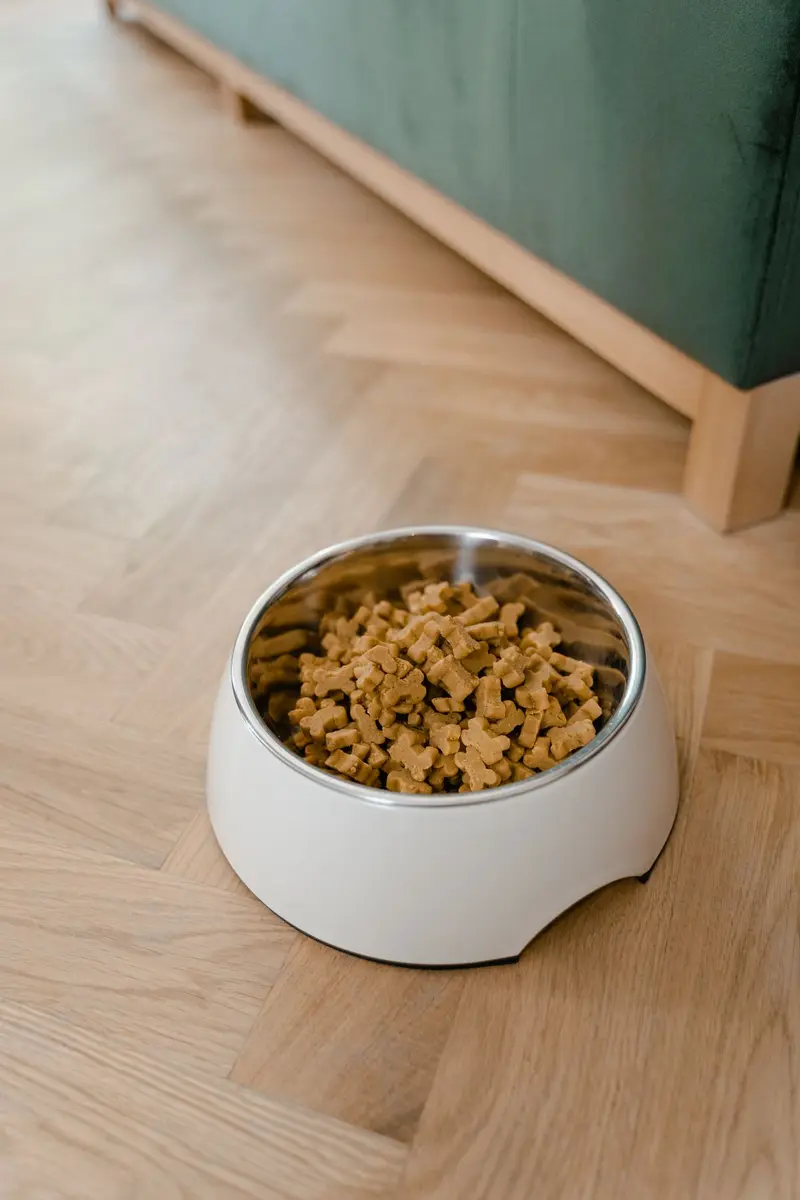 Alimento para mascotas en un catálogo por WhatsApp
