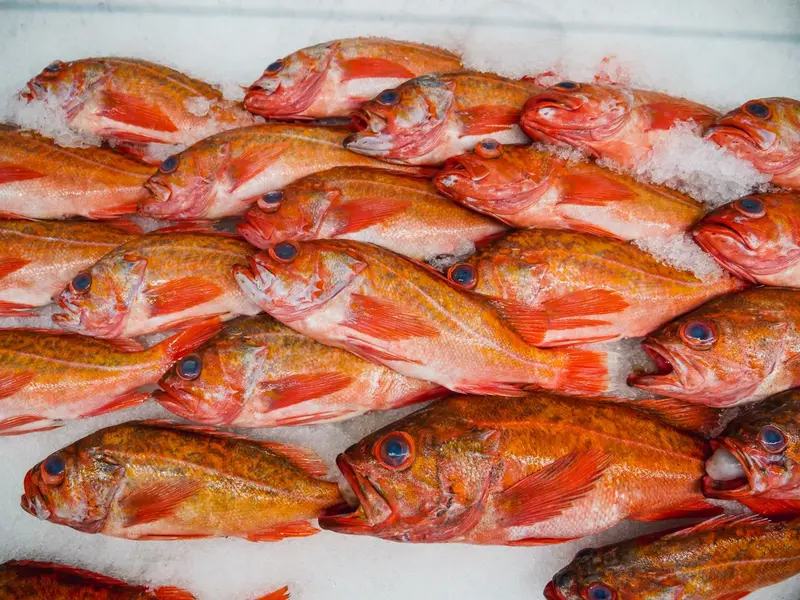 Pescado fresco de Cumaná a la venta en tiendas online en Sucre, Venezuela